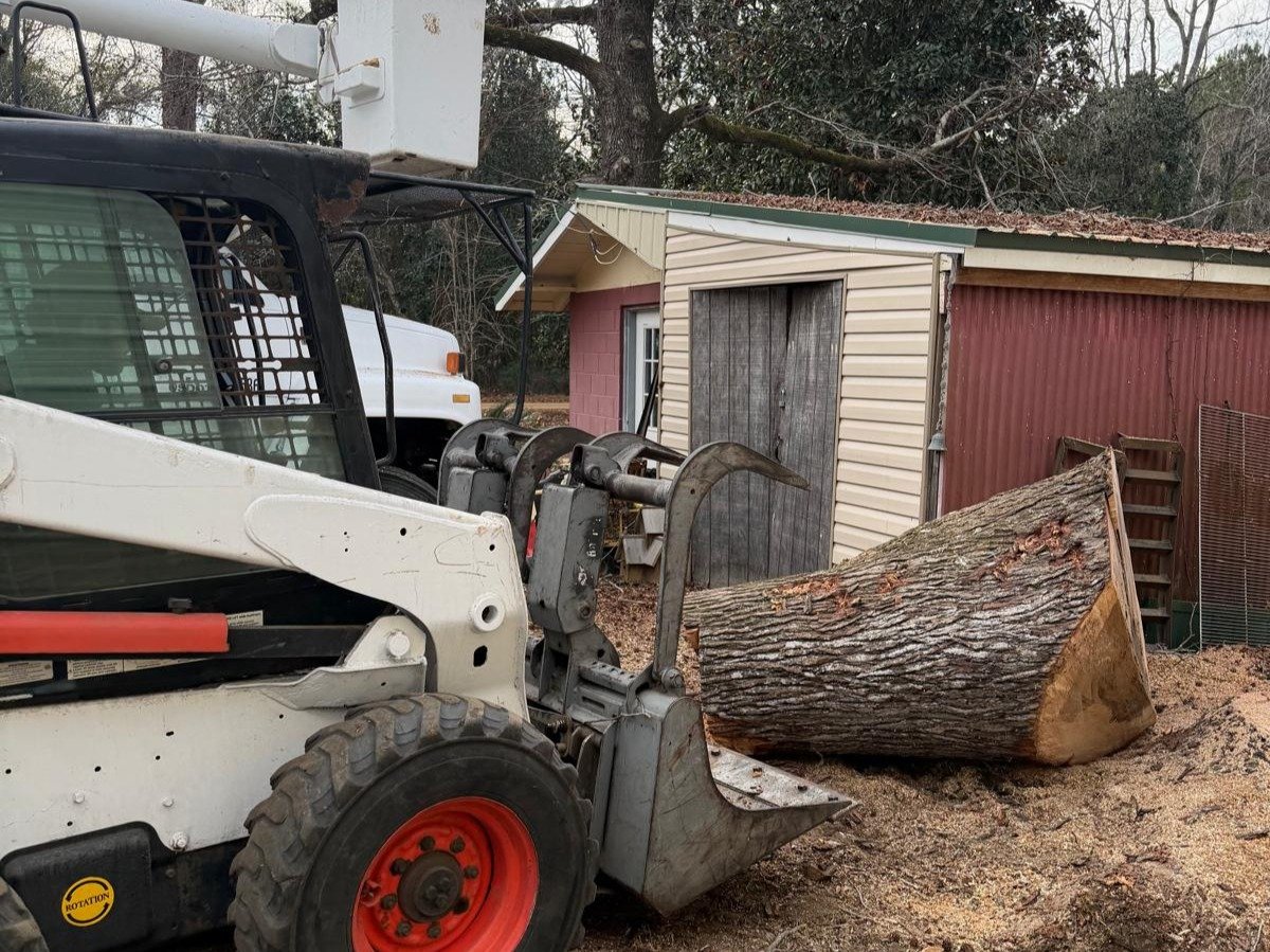 El Costeño Tree Service LLC